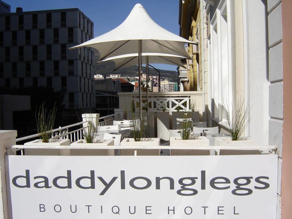 Daddy Long Legs Art Cape Town